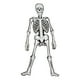 thumbnail image 1 of Figura Esqueleto Para Armar La Huesuda Día De Muertos, 1 of 4
