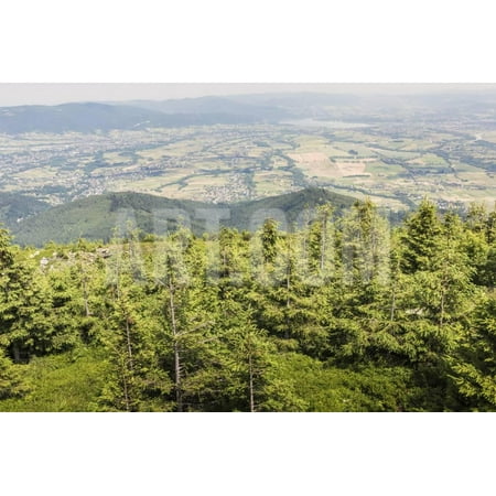 Mountain Landscape from Skrzyczne. Hillside Covered with Pine Trees and Tree Stumps in the Green Va Print Wall Art By Curioso Travel (Best Mountain Towns In Va)