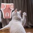 thumbnail image 4 of Pañal para perros Pantalones fisiológicos Ropa interior sanitaria para perros femeninos (Rojo XXL) JShteea Libre de BPA, 4 of 8