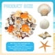 thumbnail image 2 of Conchas marinas mixtas WEOXPR, más de 150 unidades, conchas marinas de playa, estrellas de mar, 2 of 7