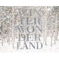 thumbnail image 2 of Lake, Shelley 32x26 White Modern Wood Framed Museum Art Print Titled - Winter Wonderland, 2 of 4