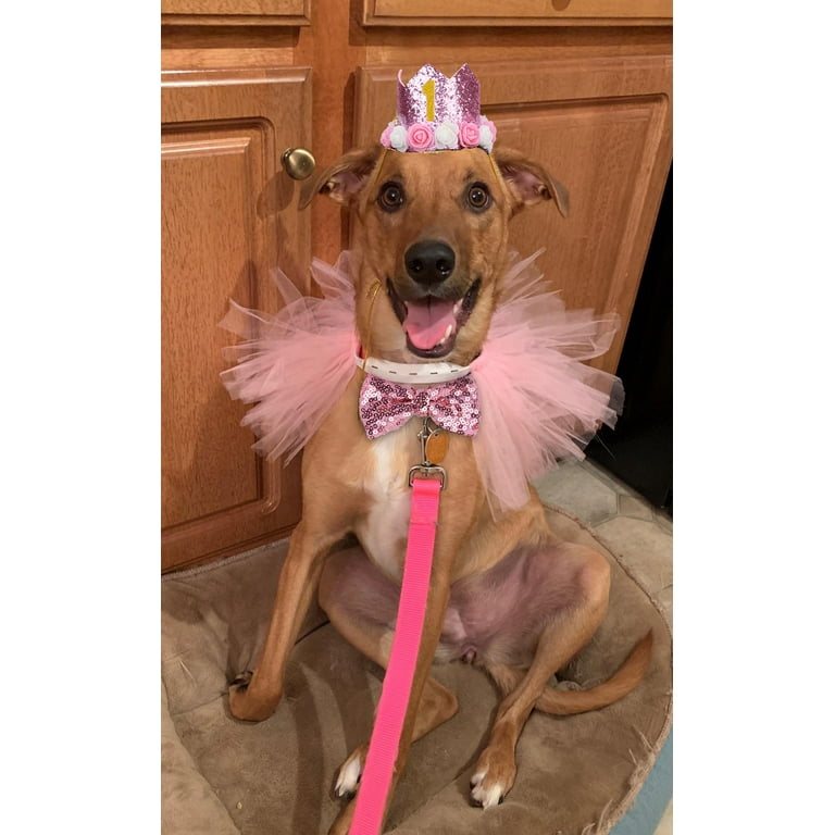 Dog hot sale party clothes