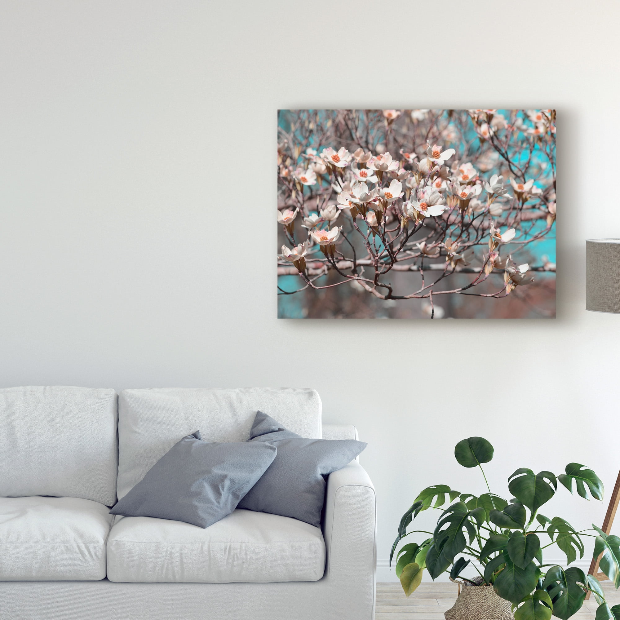 Trademark Fine Art 'Dogwood Spring II' Canvas Art by Sharon Chandler