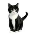 thumbnail image 1 of Cute Cats 2D Flat Car Clip- Car Diffuser, 1 of 6