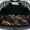 Black Gold Marble, variant on Jeiento Rainbow Deer Butterfly Car Trunk Mat Thick Cargo Liner Non Slip Backing Universal Fit Easy Install Stain Resistant All Weather Floor Protector for Sedan SUV Hatchback Most Vehicles