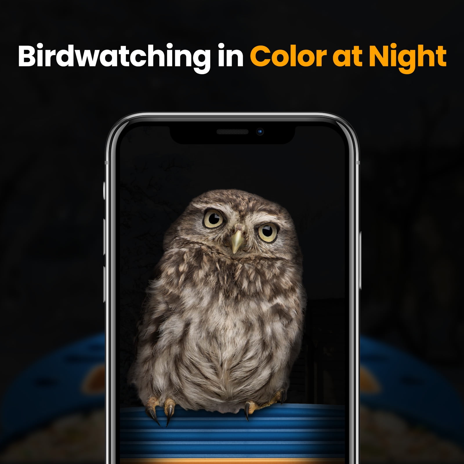 VINGUYS Bird Feeder with Camera and Smart AI Identification, Solar Powered IP66 Waterproof for Outdoor Birding, Blue