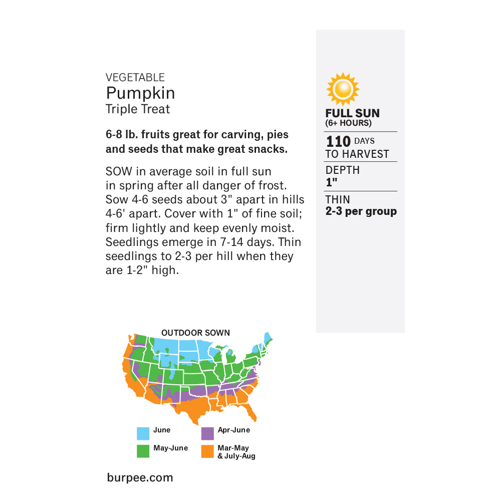 Burpee Triple Treat Pumpkin Vegetable Seed, 1-Pack
