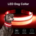 thumbnail image 6 of Syenll LED Dog Collar, USB Rechargeable Light up Dog Collar, Adjustable Safety Glowing Collar for Dogs (Red, Medium), 6 of 7