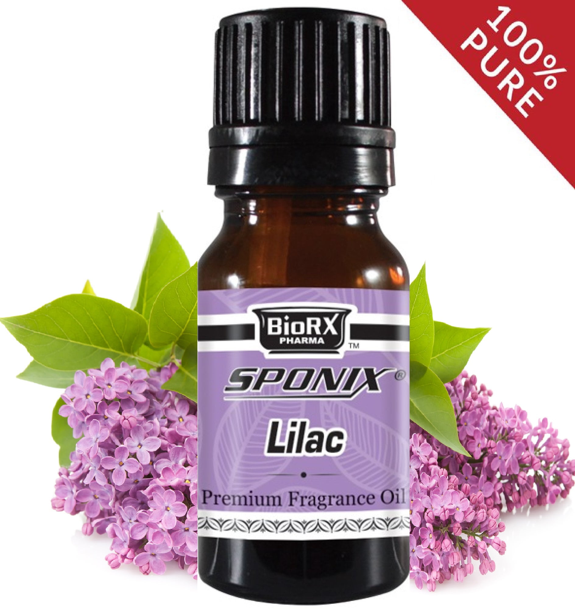  Concentrated Fragrance Oil - Scent - Lilac- This sweet floral  smells like true lilacs in full bloom. Made w/natural essential oils. (.33  fl.oz.) : Home & Kitchen