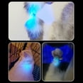 thumbnail image 2 of 365nm Ultraviolet Light Flashlight Usb Charging Uv Veterinary Lamp Money Detector For Pet Fungus Detection, 2 of 9