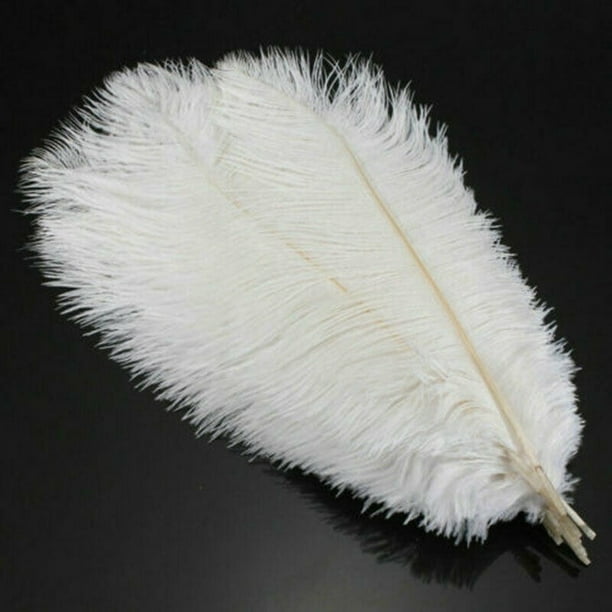Wholesale Party &Wedding Decoration High Quality Fluffy Natural Ostrich  Feathers - China Feathers and Wholesale Ostrich Feathers price