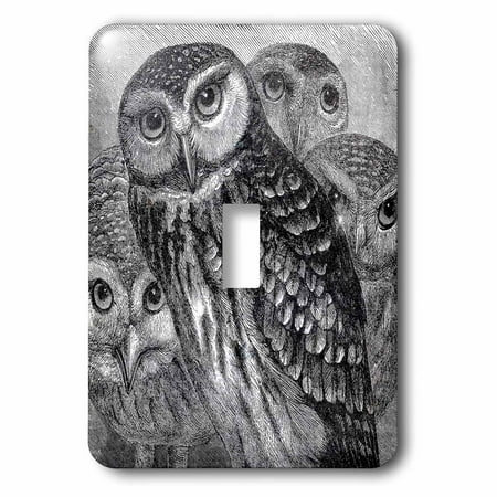3drose Group Of Four Owls Black And White Owl Engraving Etching Detailed Fine Art Birds Night Animals Double Toggle Switch
