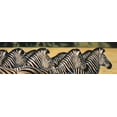 thumbnail image 2 of Stevenson, Graeme 14x7 Black Ornate Wood Framed with Double Matting Museum Art Print Titled - Zebras, 2 of 4
