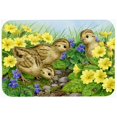 thumbnail image 1 of Pheasant Chicks Kitchen or Bath Mat, 20 x 30, 1 of 1
