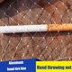 thumbnail image 2 of Sywqhk Red de pesca Nylon Line Throw Fishnet Hand Cast Network Fish Cage Mesh (300) Sywqhk Alta Calidad, 2 of 8