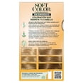 thumbnail image 2 of Tinte para cabello Soft Color Semipermanente 881 beige sahara aperlado, 2 of 4