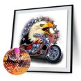 thumbnail image 4 of 5D DIY Bordado Moto Y Águila Manualidades Decorativas para El, 4 of 9