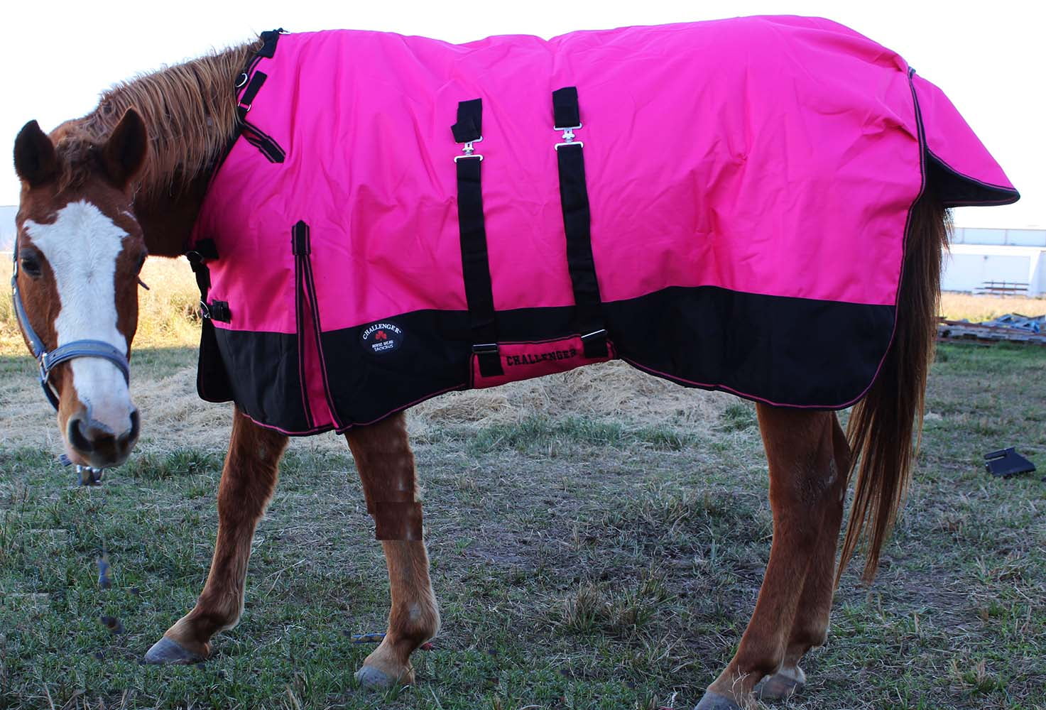 1200D Turnout Waterproof Horse WINTER BLANKET HEAVY Belly Band 573B