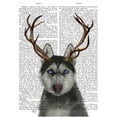 thumbnail image 2 of Fab Funky 20x24 Gold Ornate Wood Framed with Double Matting Museum Art Print Titled - Husky and Antlers, 2 of 4