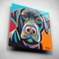 thumbnail image 5 of Epic Art 'Dog Friend II' by Carolee Vitaletti, Acrylic Glass Wall Art, 12"x12", 5 of 8