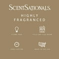 thumbnail image 3 of Warm White Sands Scented Wax Melts, ScentSationals, 2.5 oz, 3 of 5