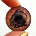 thumbnail image 2 of Coral Mermaid and Seashell Glass Eyes, 2 of 7