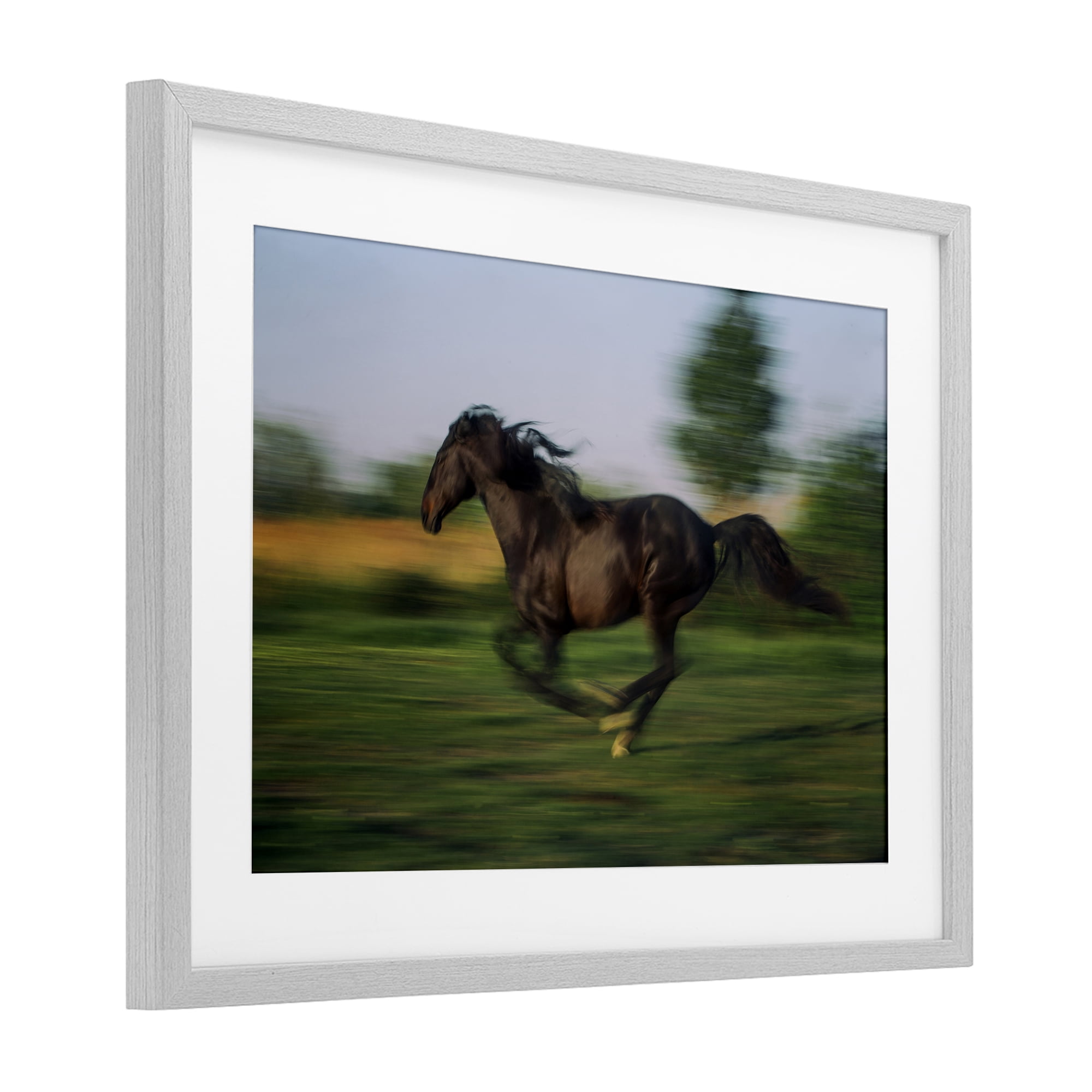 Stupell Industries Dashing Camargue Racehorse Gray Framed Print Under Glass, design by Scott Stulberg