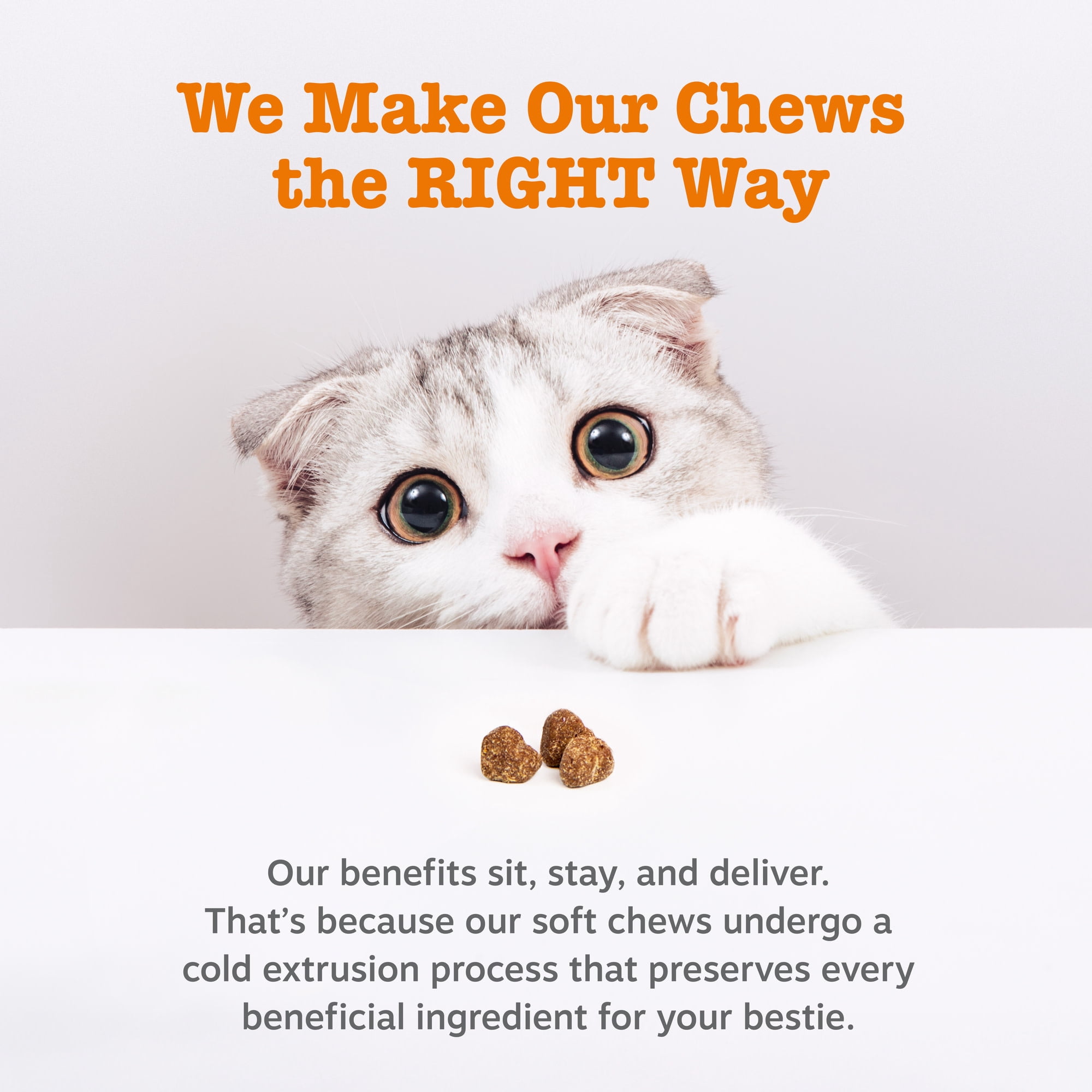 (6 pack) Zesty Paws Bacon Flavored Urinary Tract Bites for Cats, 30 Count