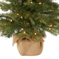 thumbnail image 3 of Árbol de Navidad National Tree Company de 90 cm con luces y base, 3 of 5