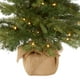 thumbnail image 3 of Árbol de Navidad National Tree Company de 90 cm con luces y base, 3 of 5
