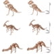 thumbnail image 1 of Rompecabezas de dinosaurio de madera 3d-biild Rompecabezas de ensamblaje para mayores de 6 años, 3 piezas, 1 of 5