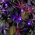 thumbnail image 2 of 2 ft. Artificial Scare in the Air Halloween Potted Plant, 30 Purple LED Lights, Battery Operated, 2 of 3