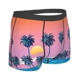 thumbnail image 3 of Balery Beach with Palm Trees Men's Boxer Briefs, Soft and Breathable Cotton Underwear with nylon Waistband-Large, 3 of 9