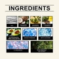 thumbnail image 2 of Jabón capilar de hoja de ciprés Shampoo Bar para el crecimiento y fortalecimiento del cabello. Champú sólido para mujeres y hombres. Reduce la rotura, limpia y nutre el cabello seco y dañ., 2 of 4