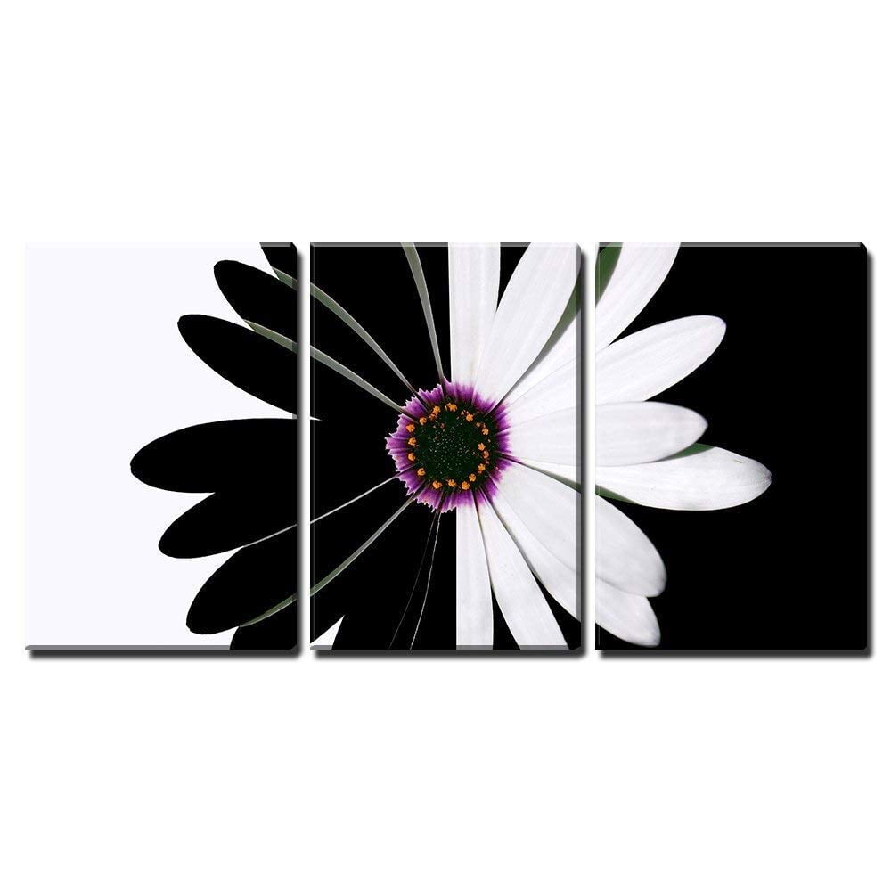 Wall26 3 Piece Black and White Wall Art Daisy Canvas Wall Art Flower