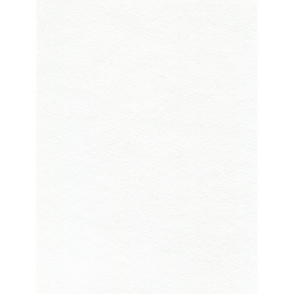 Canson XL Mix Media Roll, 48in x 10 yds.