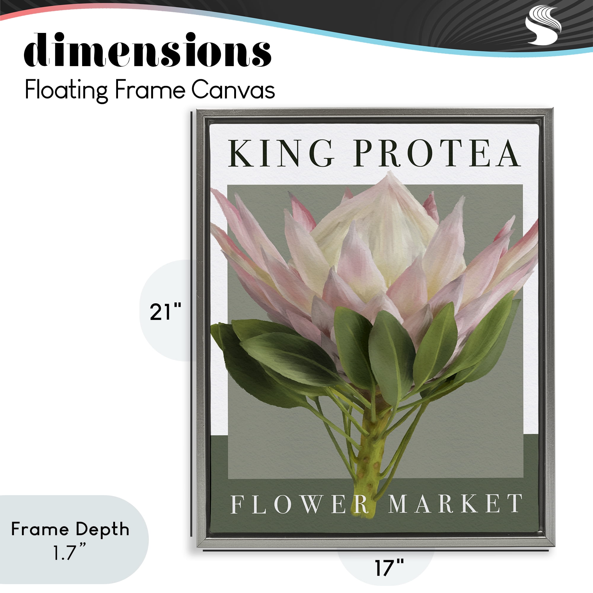 Stupell Industries King Protea Flower Market Gray Framed Floater Canvas Wall Art, design by Jennifer Stith