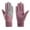 Purple, variant on Dyfzdhu Women Winter Fleece Thickening Elastic Edge Cold Proof Outdoor Driving Riding Sports Non Slip Touched Screen Gloves Unisex Pink