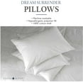 thumbnail image 5 of Envirosleep Dream Surrender King 2 Pillows Found at Hampton Inn, 5 of 7