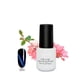thumbnail image 1 of Nail Gel Topcoat Nail Art Polish Top Coat Gel DIY Nail Manicure Tool 260, 1 of 3