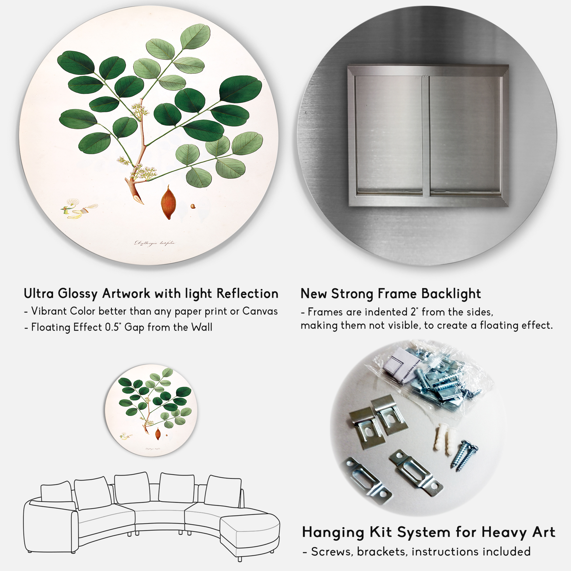 Designart 'Ancient Plant Life XI' Farmhouse Circle Metal Wall Art 23x23 - Disc of 23