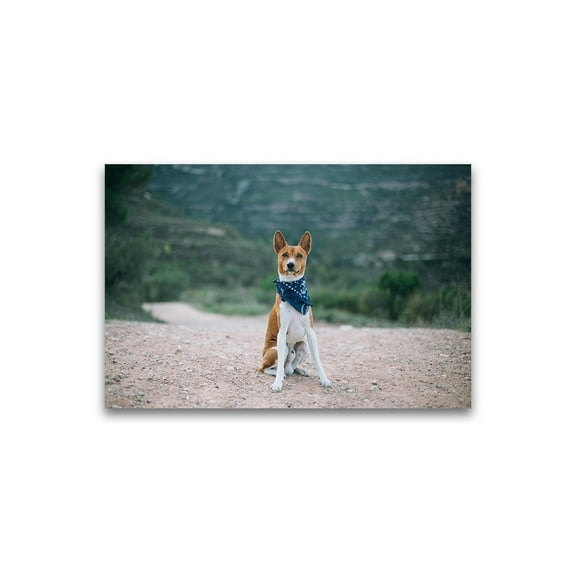 Basenji Dog With Kerchief Poster -Image by Shutterstock