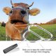 thumbnail image 4 of Abridor De Boca De Animales, Agarre Cómodo, Ligero Y Compacto, Dilatador De Ganado, Diseño De Cabeza De Borde Suave, Ahorro De Mano De Obra, Animales De Ganado Para Caballos Cergrey Cattle Dilator, 4 of 8