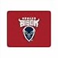 thumbnail image 3 of Mouse Pad, Fabric, Howard University Standard/Classic Red, 3 of 4