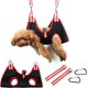 thumbnail image 1 of Hamaca para perros y gatos, con 2 cierres de velcro y 2 correas, ideal para perros y gatos pequeños, corte de uñas, peinado y baño, color negro - M, hasta 10 kg, 1 of 5