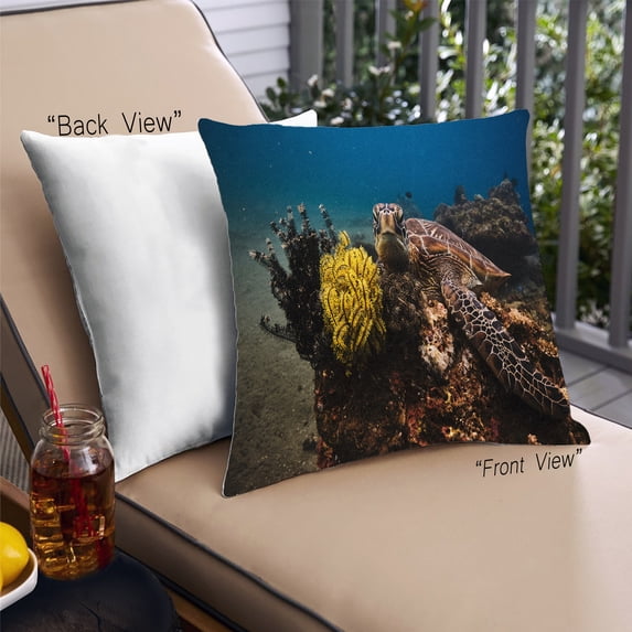 Ahgly Company Animals Fish Outdoor Throw Pillow, 18 inch by 18 inch