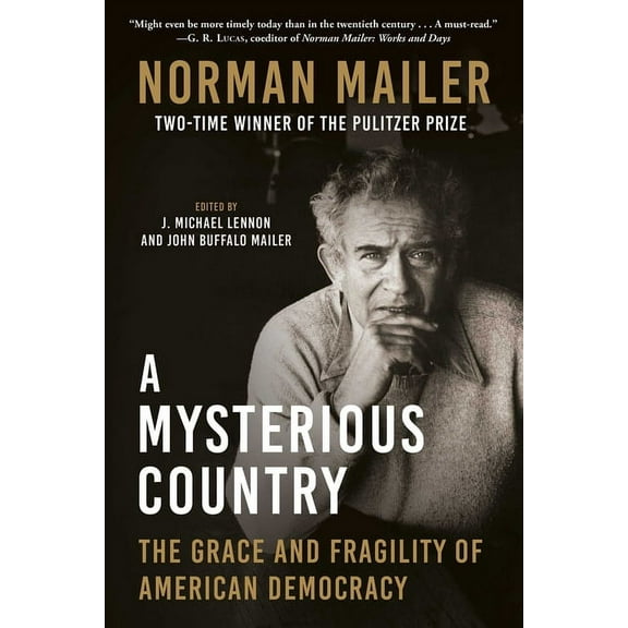 A Mysterious Country: The Grace and Fragility of American Democracy, (Hardcover)