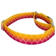 thumbnail image 4 of Country Brook Petz® Fabulous Ombre Martingale Dog Collar Limited Edition, Medium, 4 of 5