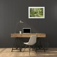 thumbnail image 3 of Paulson, Don 24x17 White Modern Wood Framed Museum Art Print Titled - WA, San Juans, Stuart Island Trail through woods, 3 of 4