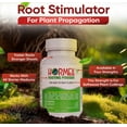 thumbnail image 6 of Hormex Rooting Powder #1 - Root Hormone & Stimulator for Delicate Plant Cuttings Propagation, 2 Pack, 6 of 7